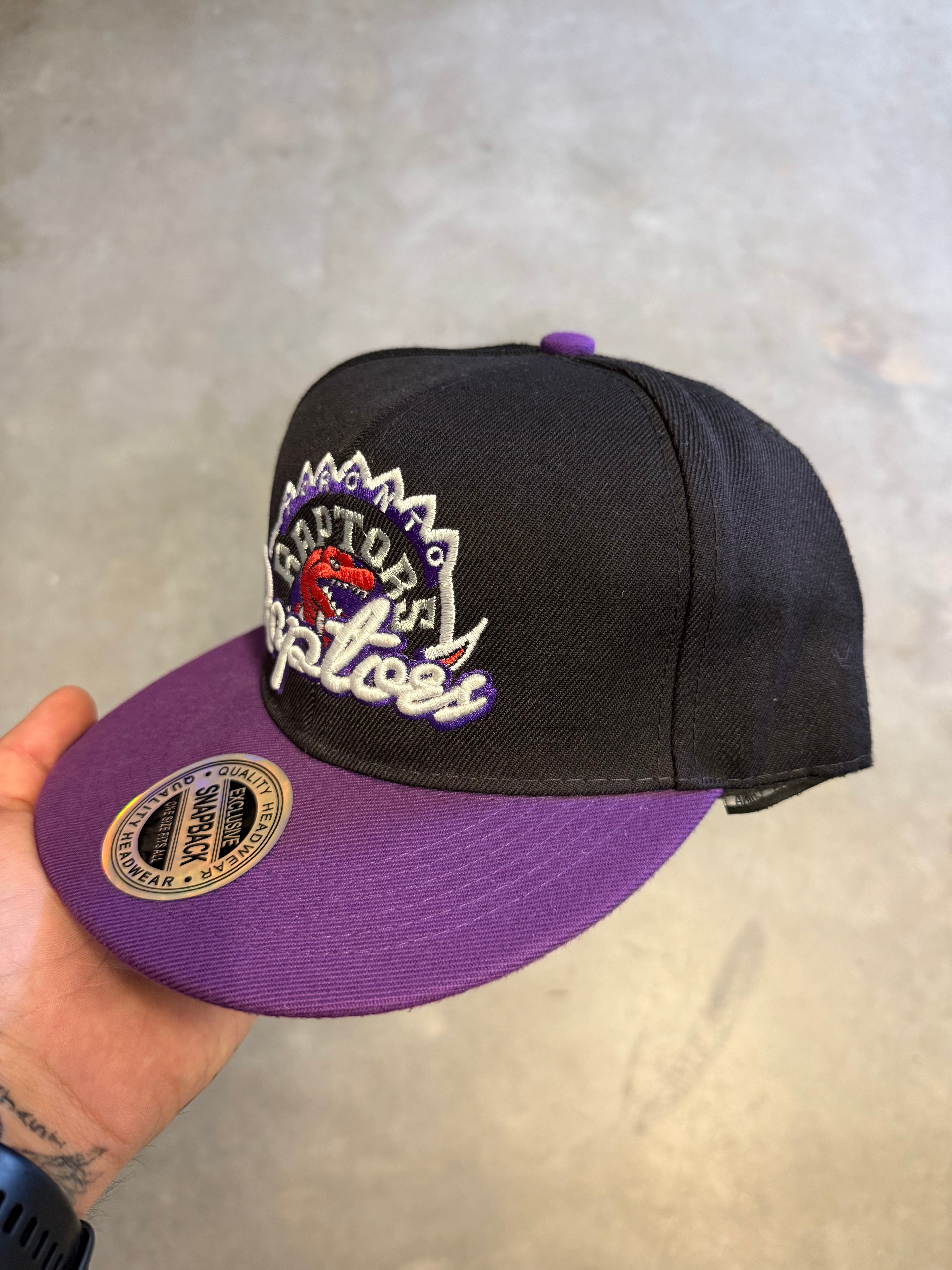 Heritage Toronto raptors SnapBack